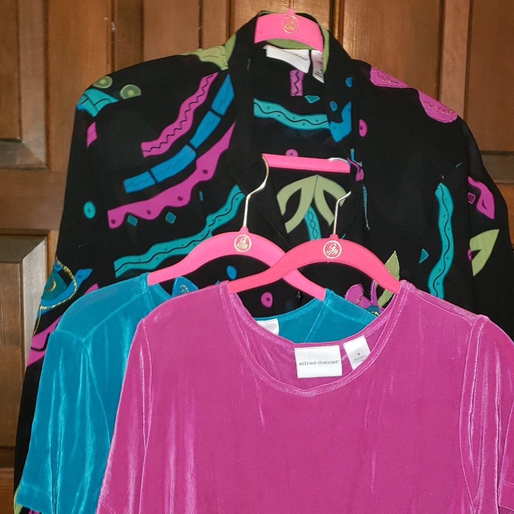 Lot 3 blouses Alfred Dunner "Day Tripper" set; 2 items NWT, 1 gently used